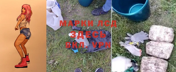 твердый Аркадак