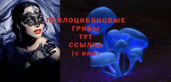 твердый Аркадак