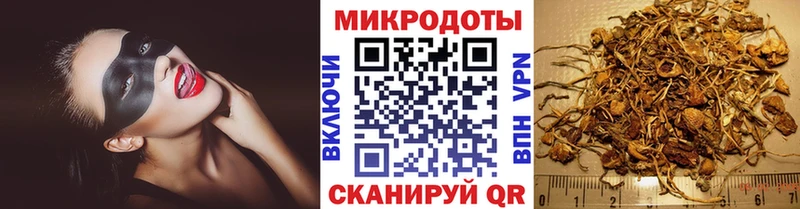 Галлюциногенные грибы мухоморы кракен как войти Сортавала